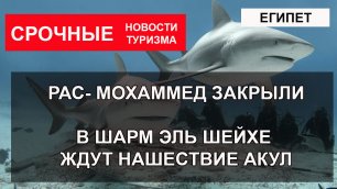 ЕГИПЕТ 2022 Рас Мухамед закрыли В Шарм Эль Шейхе ожидают нашествие акул.mp4