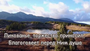 Не найдёт душа себе покоя 🥺✨🎵очень красивый псалом 🎵🕊️