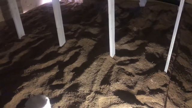 Опилки на потолок для утепления на дом из арболита. смотреть онлайн