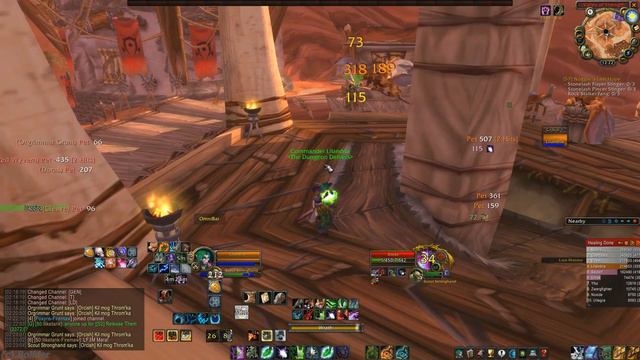 Pro druid vs orgrimmar flightmaster. WoW Classic