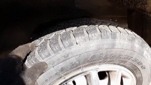 50 000 км на Эвотеке. Есть о чём рассказать.