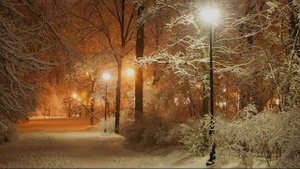 "Ночь укрылась коврами снежными"Муз. - Анатолий Федоруц  Стихи - Валентина Размерица