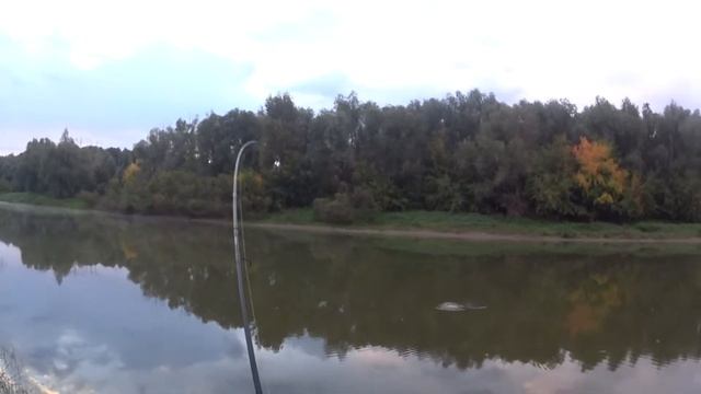 OmskSpinClub # 15 Ловля щуки на воблер Rapala X Rap 10 смотреть онлайн