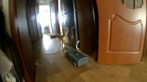 Сборка модели Opel Blitz - 4