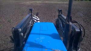 Как посеять многолетние травы без сеялки