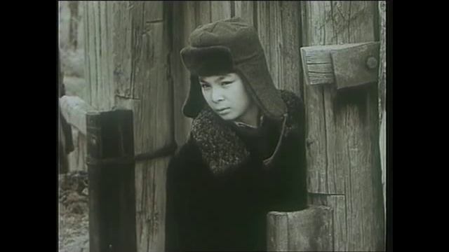 Буктрейлер по книге А. Лиханова "Последние холода" смотреть онлайн