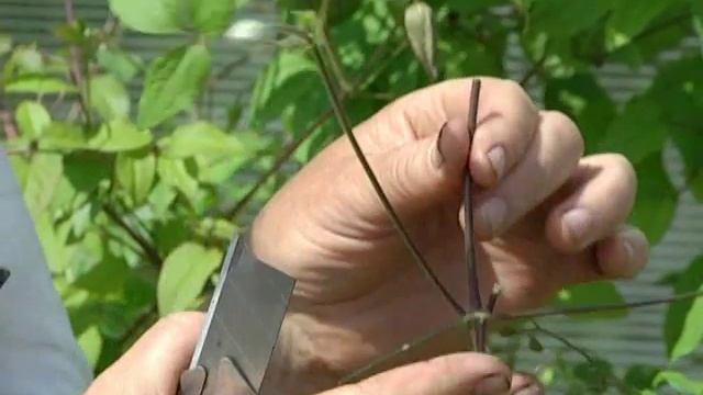 Рубрика "ЗаДачник" смотреть онлайн