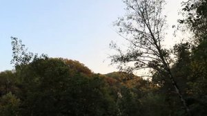 @Мамины рецепты НА ОТДЫХЕ!!! Мы в ГРУЗИНСКОМ ресторане на реке в Горячем Ключе! Дыдынские на связи
