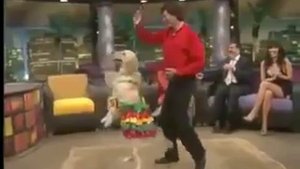 Собака жжёт !!!