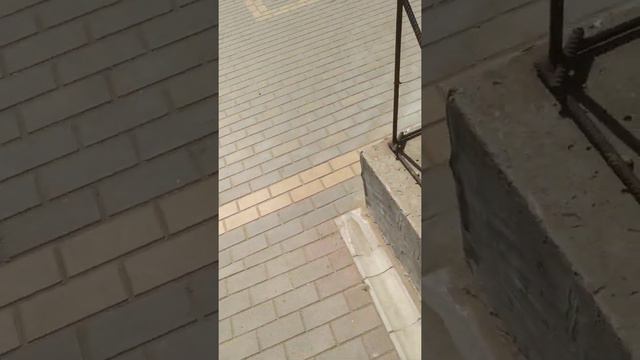 Пляж Орловка, Звездный берег.