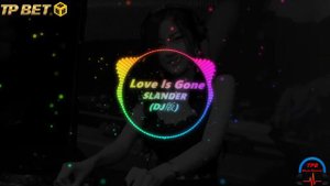 Love is gone — SLANDER (Remix)【I'm sorry, don't leave me, I want you here with me】Ft.TpBet888