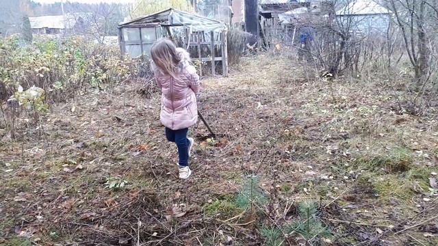 Первый день на новой даче