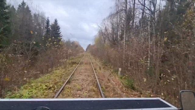 Поездка Земцы Жарковский