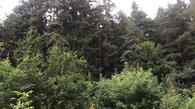 Она любила разнообразие, потеряла всё и оказалась в лечебнице. Интересные жизненные истории.Рассказ