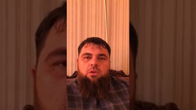 ЧеченИНФО: Саид Чубаев!Сын САТАНЫ,свиной рылой! смотреть онлайн