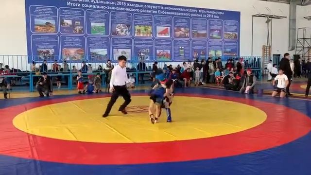 Тигр смотреть онлайн