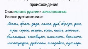 Лексика русского языка с точки зрения происхождения Русский язык 5 класс Low, 360p