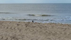 Северное море/Нидерланды Katwijk