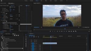 Как Размыть Задний Фон на Видео в Adobe Premiere Pro?