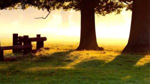 Ты проснешься на рассвете мы с тобою вместе встретим день рождения зари i&ax