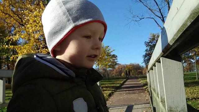 Илья 4 года, выход из сенсорной алалии.