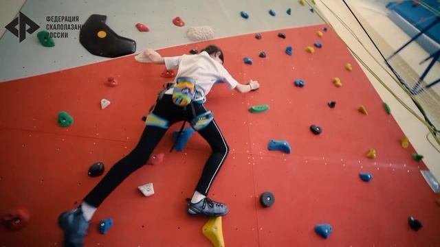 Проект Скалодромы в школы