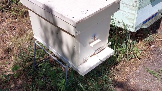 Очень длинный ролик, или, как устроена моя пасека. смотреть онлайн