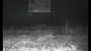 Охота на шакала с Yukon Sightline N455 в Дагестане 04.01.2020