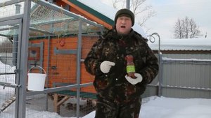 Самые полезные витамины  для кур несушек. ( рыбий жир).