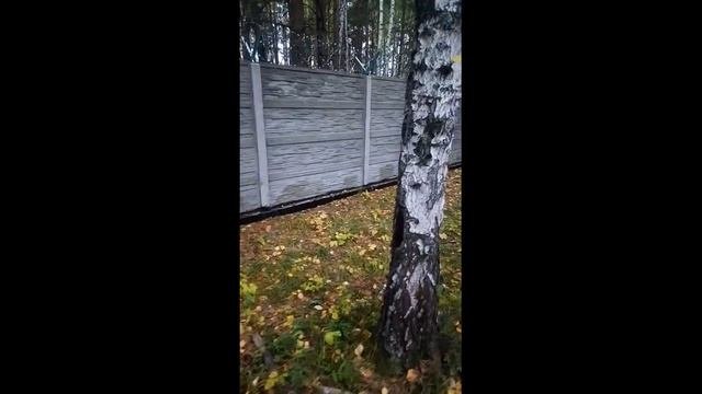 Жесть, нашли могильник Сибирской язвы в лесу