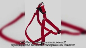 Лучшие хондропротекторы для собак