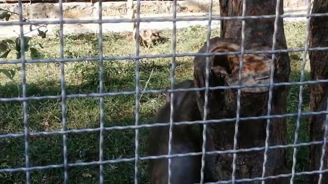 Люся радует нас смотреть онлайн