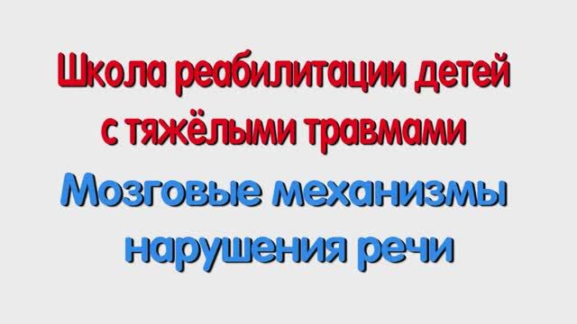 Интервью с логопедом. Мозговые механизмы нарушения речи. Специалисту и родителям.