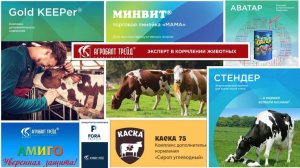 Управление молочной фермой. Эффективность кормовых рационов дойной коровы. 20.05.2020, Толмацкий О.В