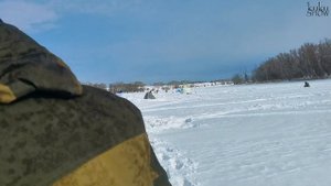 Рыбалка в затоне Большеречья.  В поисках Леща.