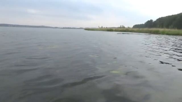 Рыбалка на спиннинг. Щука и окунь.