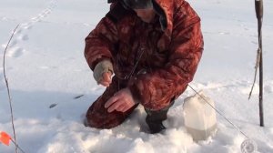 Крупная щука на жерлицы Ловля щуки зимой в заливах