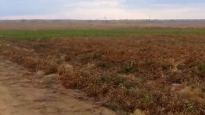 👍🌶🍅🍎🍈🍑🍆🐇🐇🐇🐇секретное место в Астраханской области. среди пустыни
