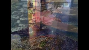 Самые красивые наливные 3D полы - 3d floor