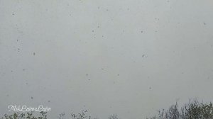 Сильный снегопад 4 мая в Москве