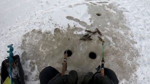 РОТАН ГИГАНТ!!! ЛУПЛЮ РОТАНА ДВУМЯ УДОЧКАМИ.  СИБИРСКАЯ РЫБАЛКА НА РОТАНА СО ЛЬДА 2020-2021.