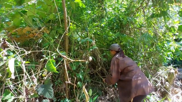 OFF GRID - The Girl Build all bushcraft Natural Shelter in the rainforest, Staircase, bamboo house смотреть онлайн