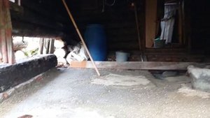 В первые меняем гнилые бревна на бане.