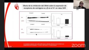 Seminarios Virtuales de Investigación Básica y Clínica en HTA y Daño de Órgano Blanco