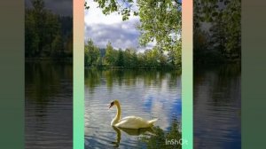 Хорошая музыка