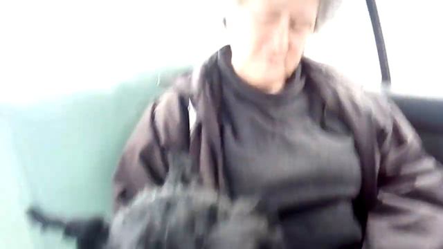 п-к Роман-Кош.Роман-Кош Есмиральда Денс Квин 13,5 л. Сев-ль 22.01.22. Снег. Дорога Севастополь-Ялта смотреть онлайн