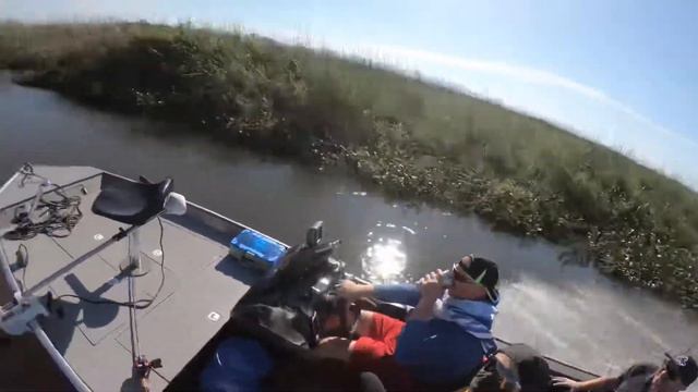 Pantagold 550 смотреть онлайн