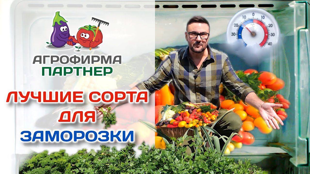 Лучшие сорта для заморозки | #огород #дача #заморозка