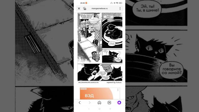 коты воители. Бич: путь к власти. ( все серии) смотреть онлайн