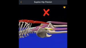 Подъем ног лежа на спине